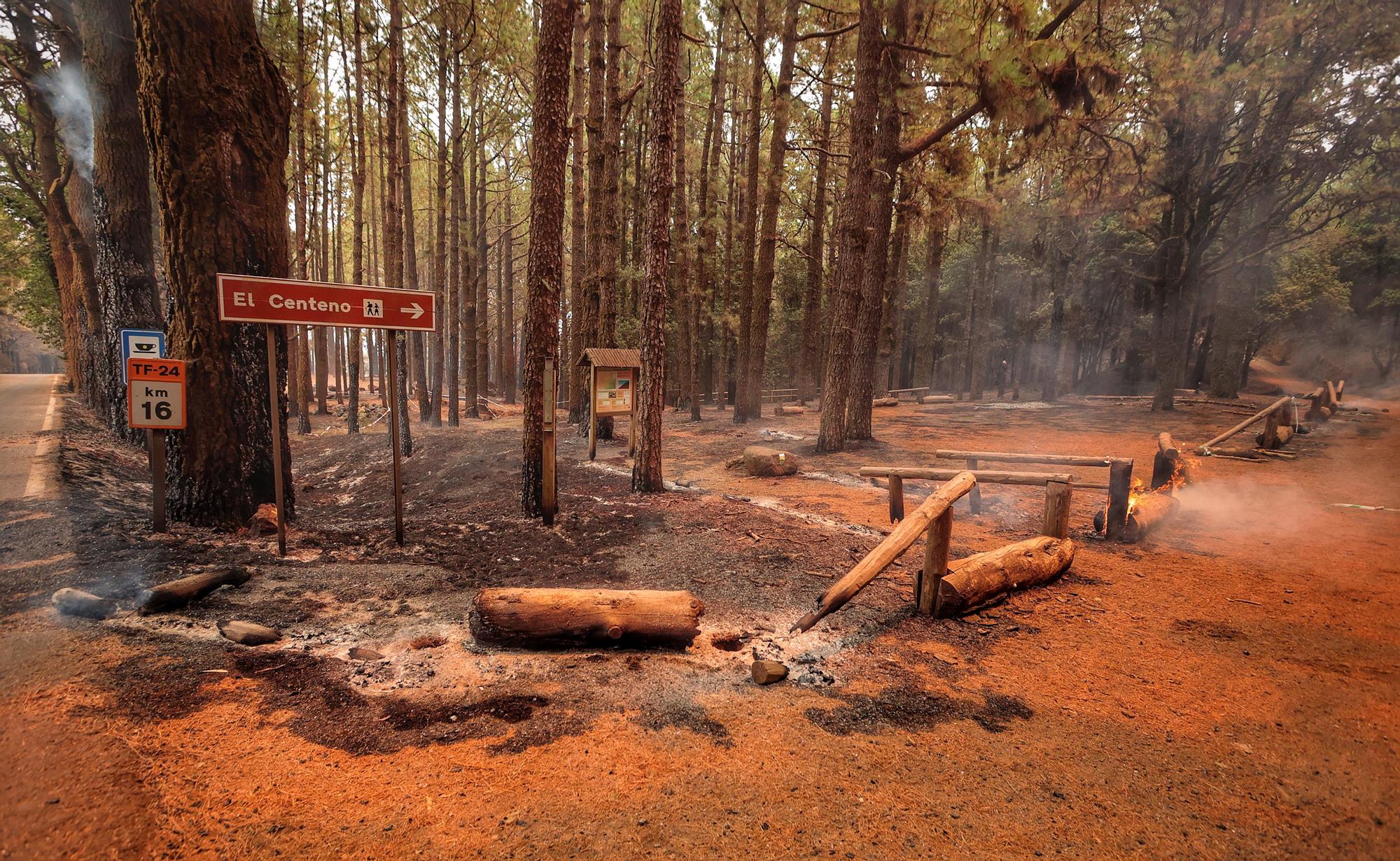 Evolución del incendio en Tenerife