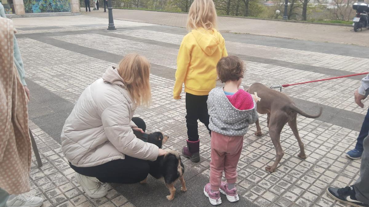 Los niños ucranianos se paran en la calle a jugar con unos perros.