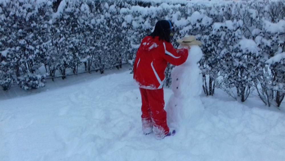 Neu a Bellver de Cerdanya.