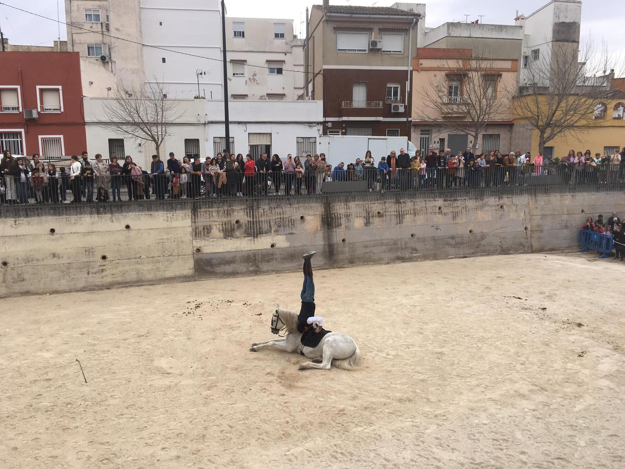 Así ha sido el 'porrat' de Sant Antoni en Beniopa