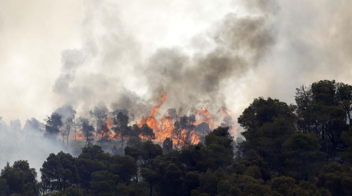 INCENDIO FORESTAL EN NONASPE, COMARCA BAJO ARAGON CASPE