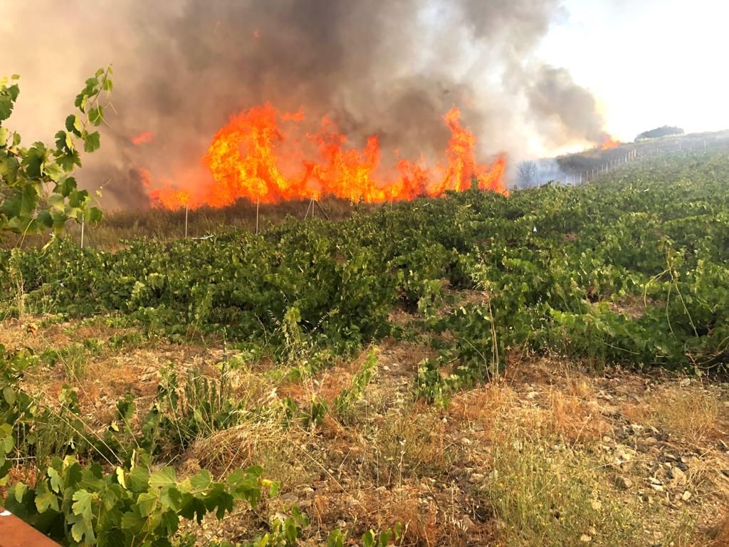 Incendio declarado en Figueruela de Abajo