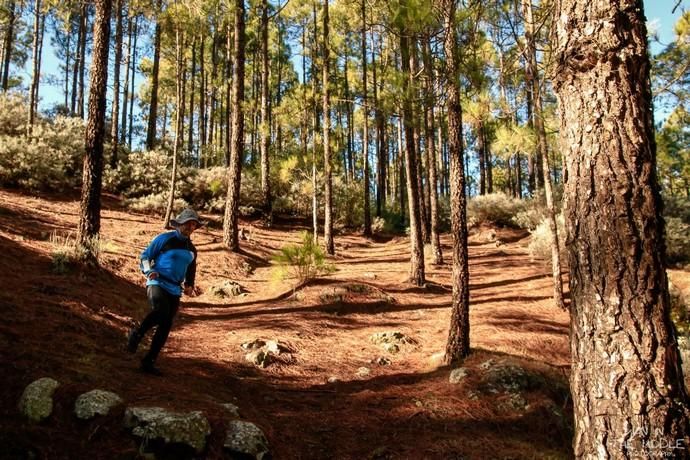 XII Liga de Gran Canaria de orientación