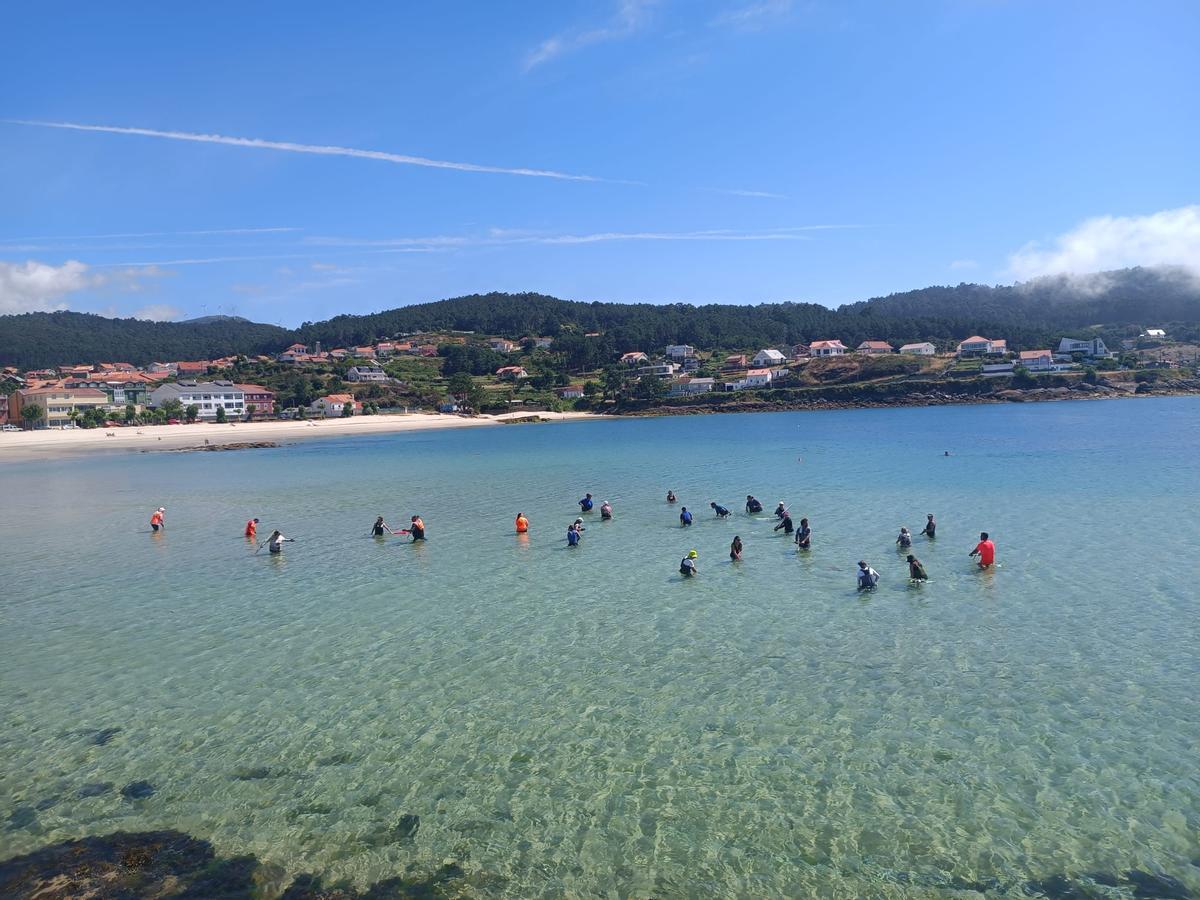 Mariscadores y mariscadoras de Muros-Noia acondicionando el banco de Esteiro para sembrar marisco.