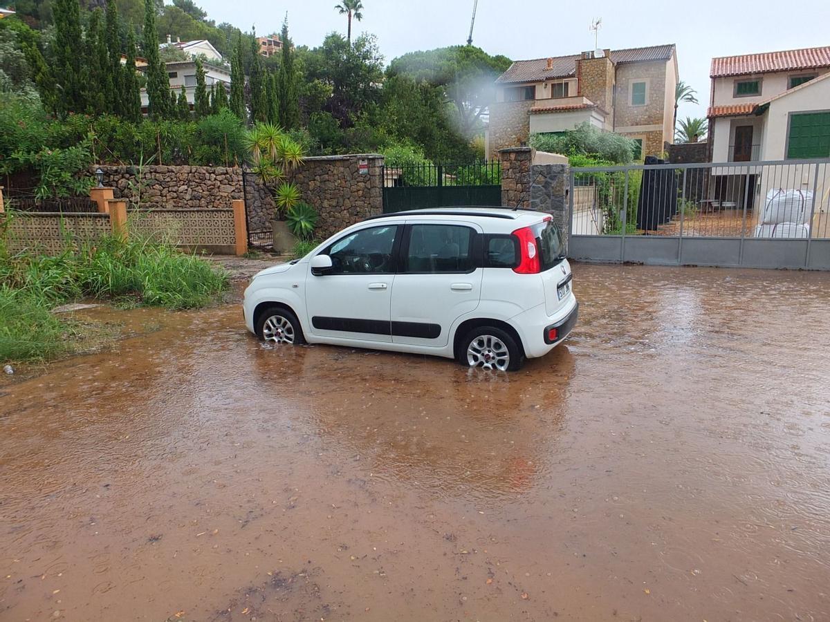 Los efectos de la DANA en Port Sóller, en imágenes