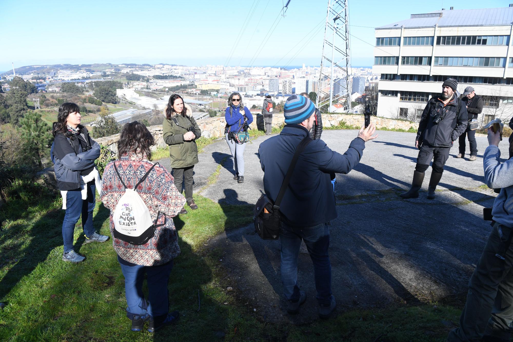 Curso sobre os cantos dos paxaros na Coruña