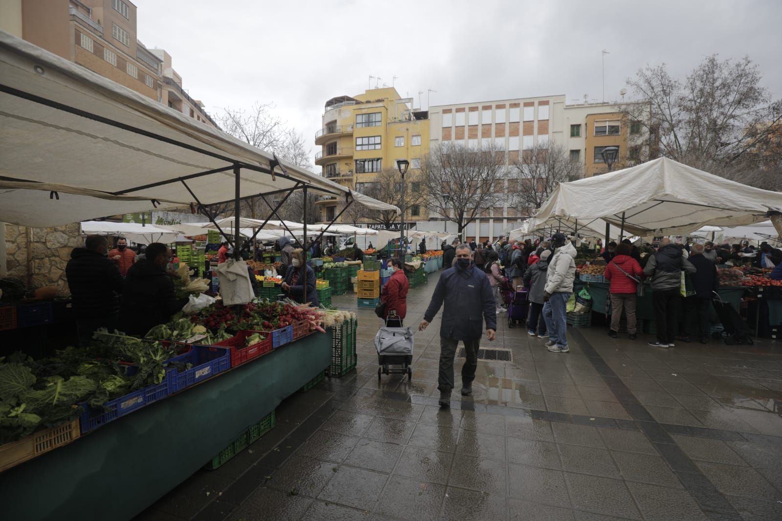 Sábado de compras en el mercado de Pere Garau de Palma