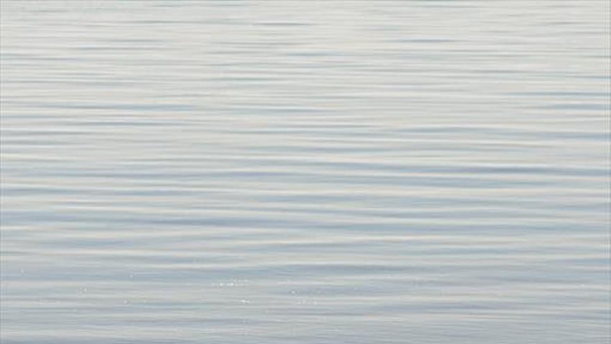 Alarma por la caída de salinidad del Mar Menor