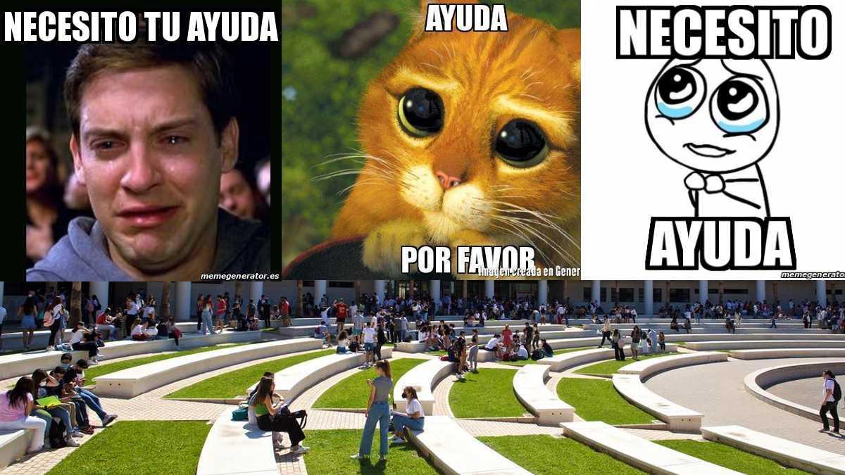 Una alumna de la UA necesita la colaboración de los universitarios para una cuesta que lleva solo un minuto rellenar