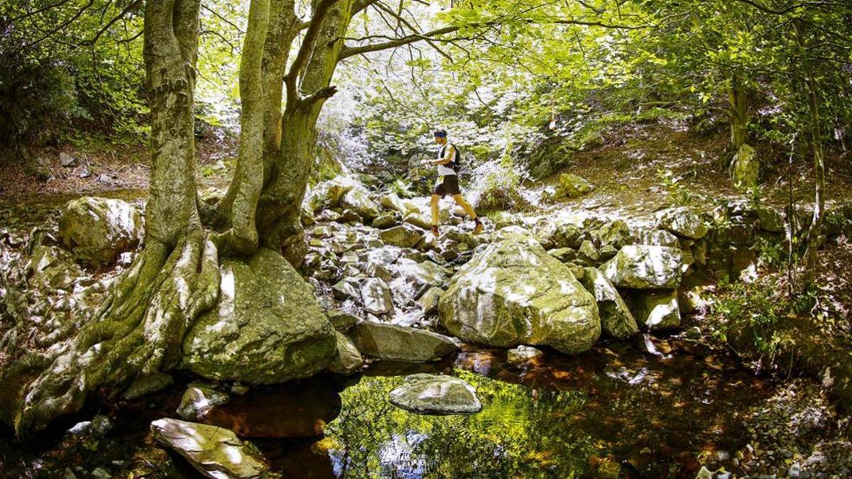 La 5ª edición del Trail Fonts del Montseny una  carrera de montaña ya consolidada