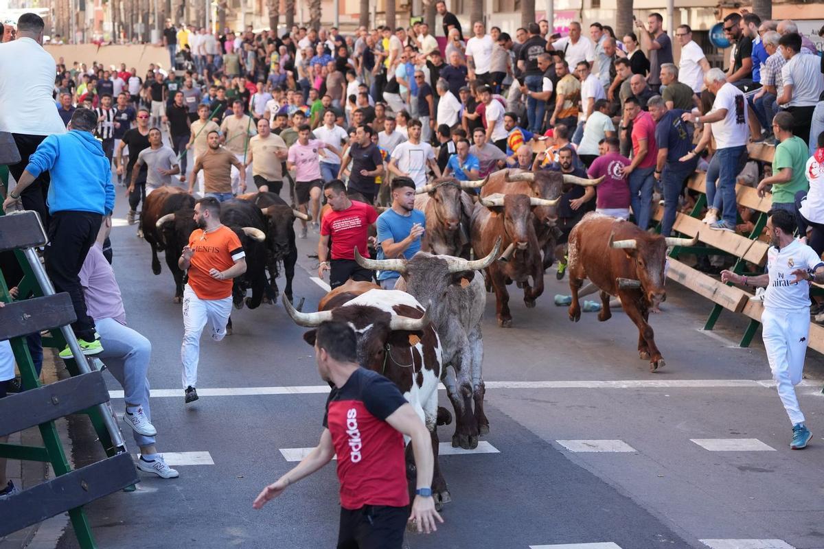 La colocación de las barreras para cerrar el recorrido del encierro de cerriles también la asume el adjudicatario.