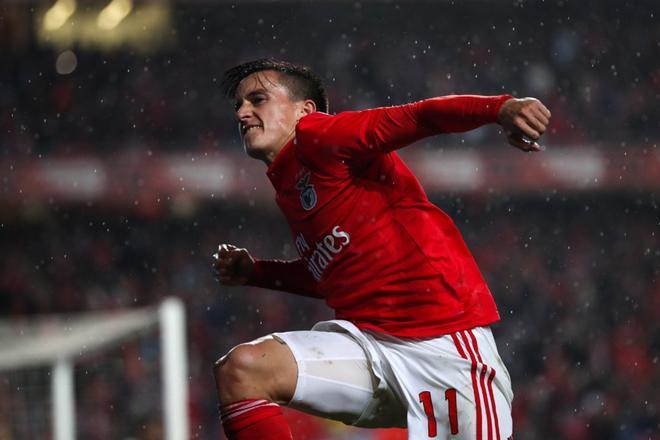 Franco Emanuel Cervi de SL Benfica celebra tras marcar un gol contra el Marítimo, durante el partido de fútbol de la Primera Liga portuguesa, entre SL Benfica y Maritimo, en el Estadio Luz (Lisboa).