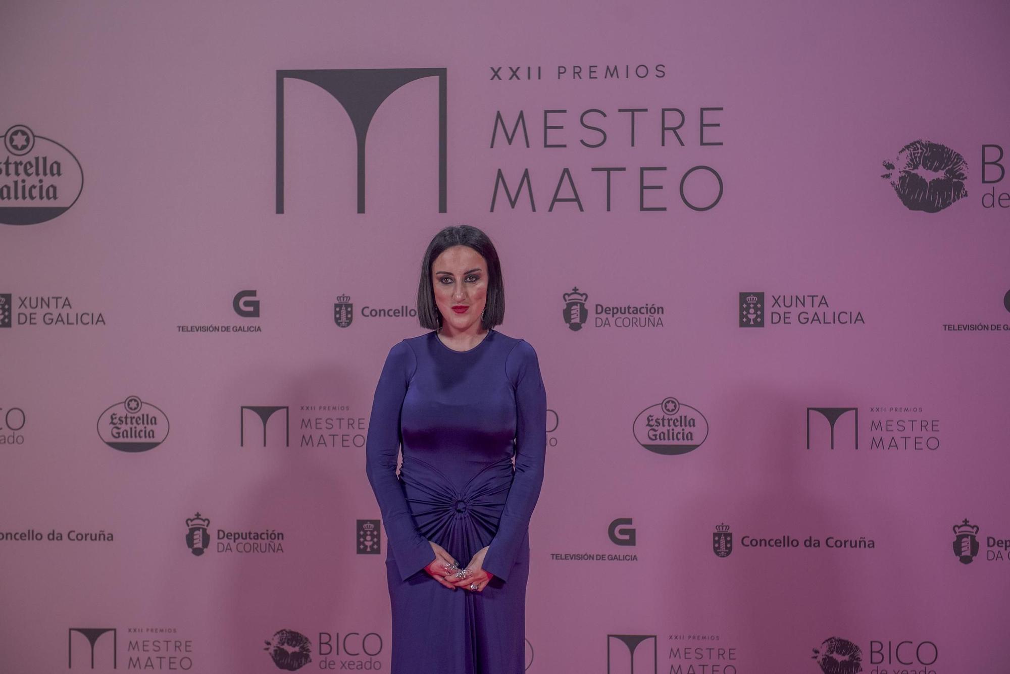 Gala dos premios Mestre Mateo 2024