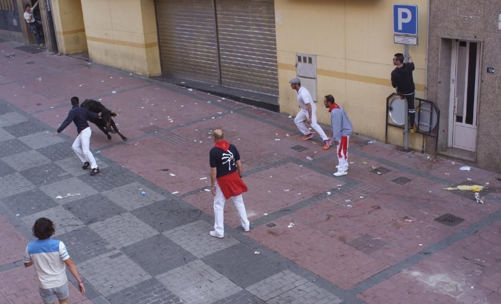 Becerrada, encierros y vaca de la sangría