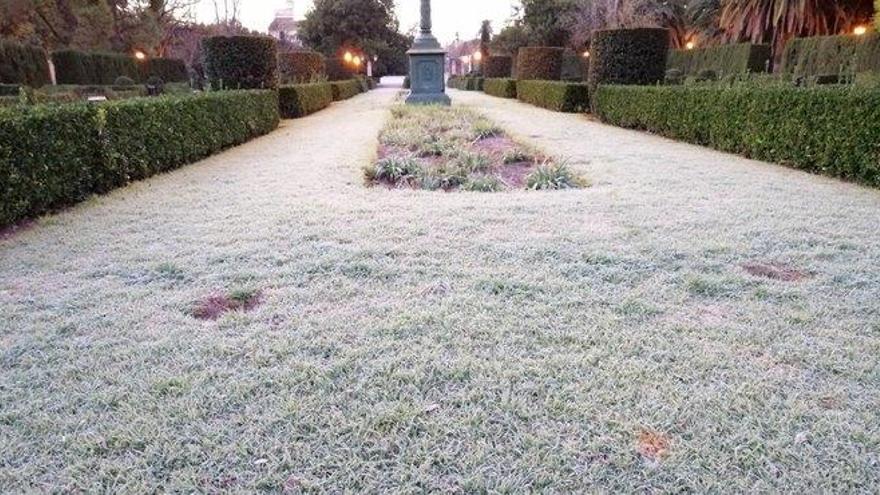 El frío ha dejado escarcha en los Viveros de València.