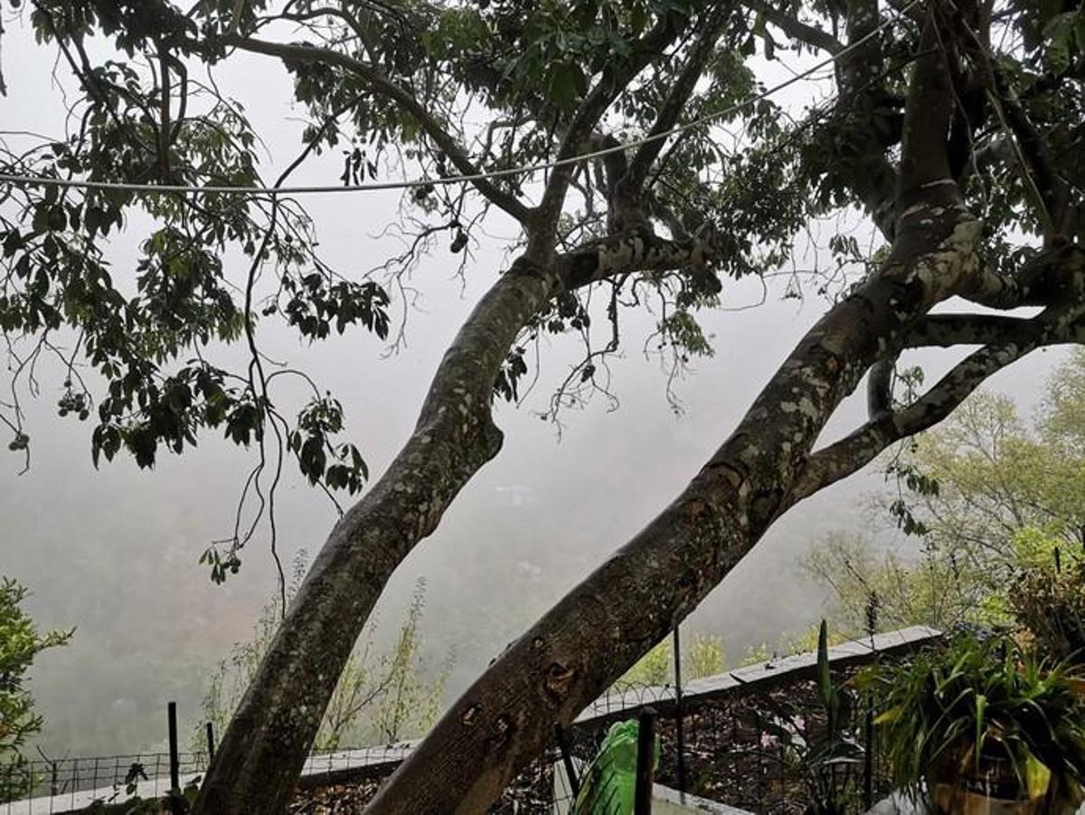 Lluvia en Valsendero.
