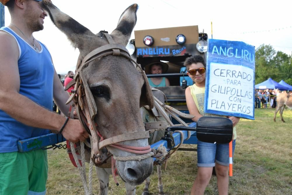 Carrera de burros en Pañeda