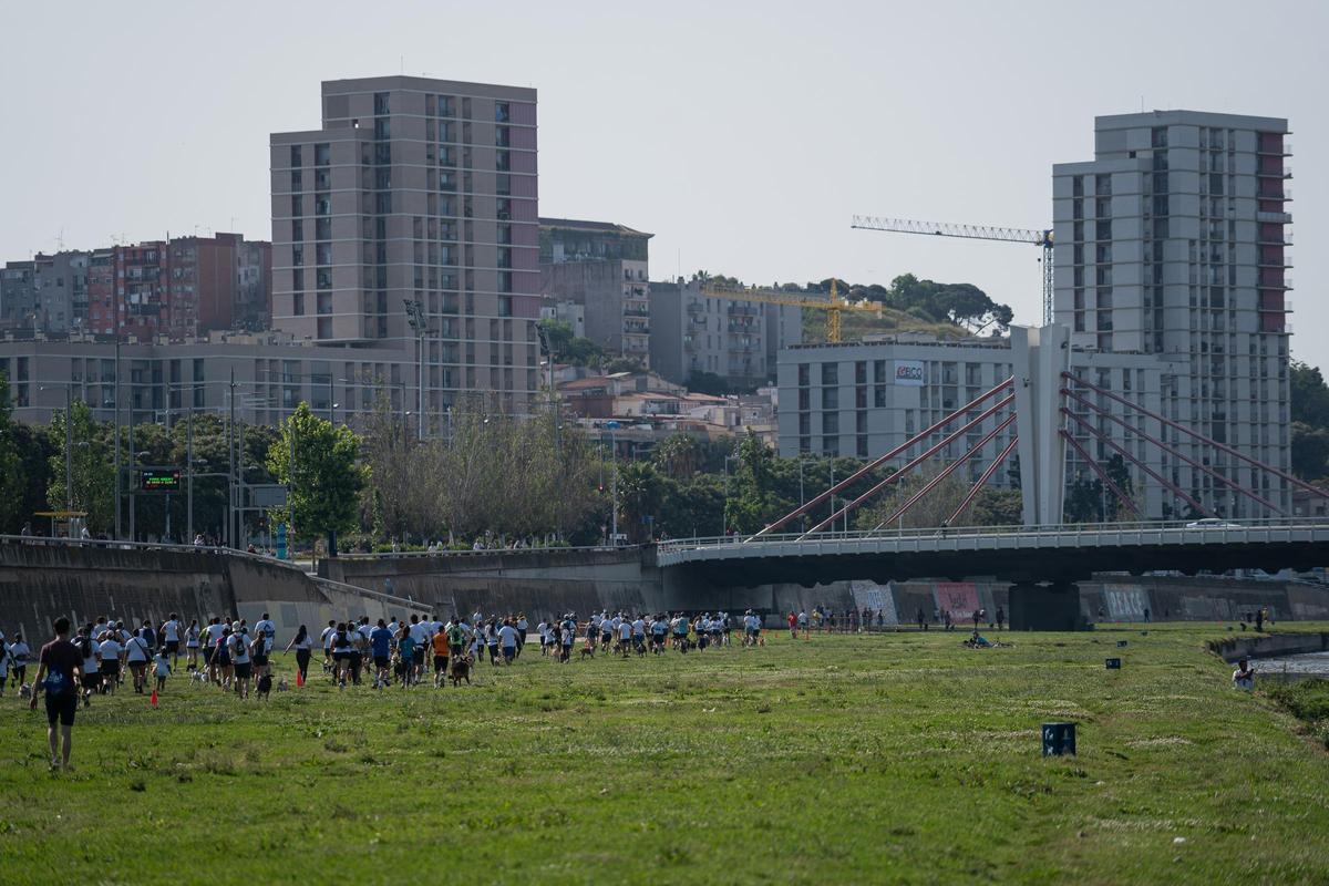 Carrera Can We Run 2025