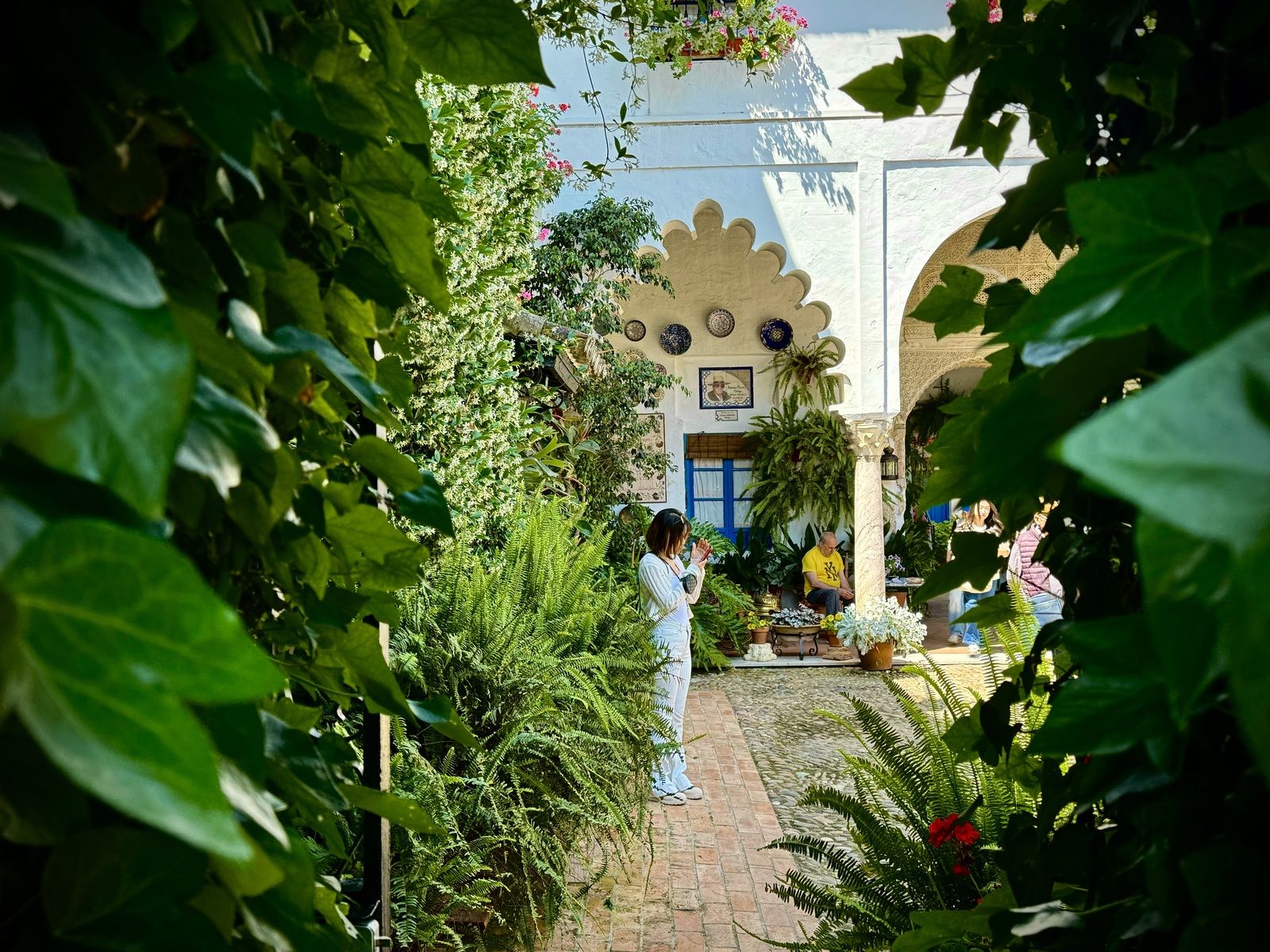 La Ruta 3 de los Patios de Córdoba, en imágenes
