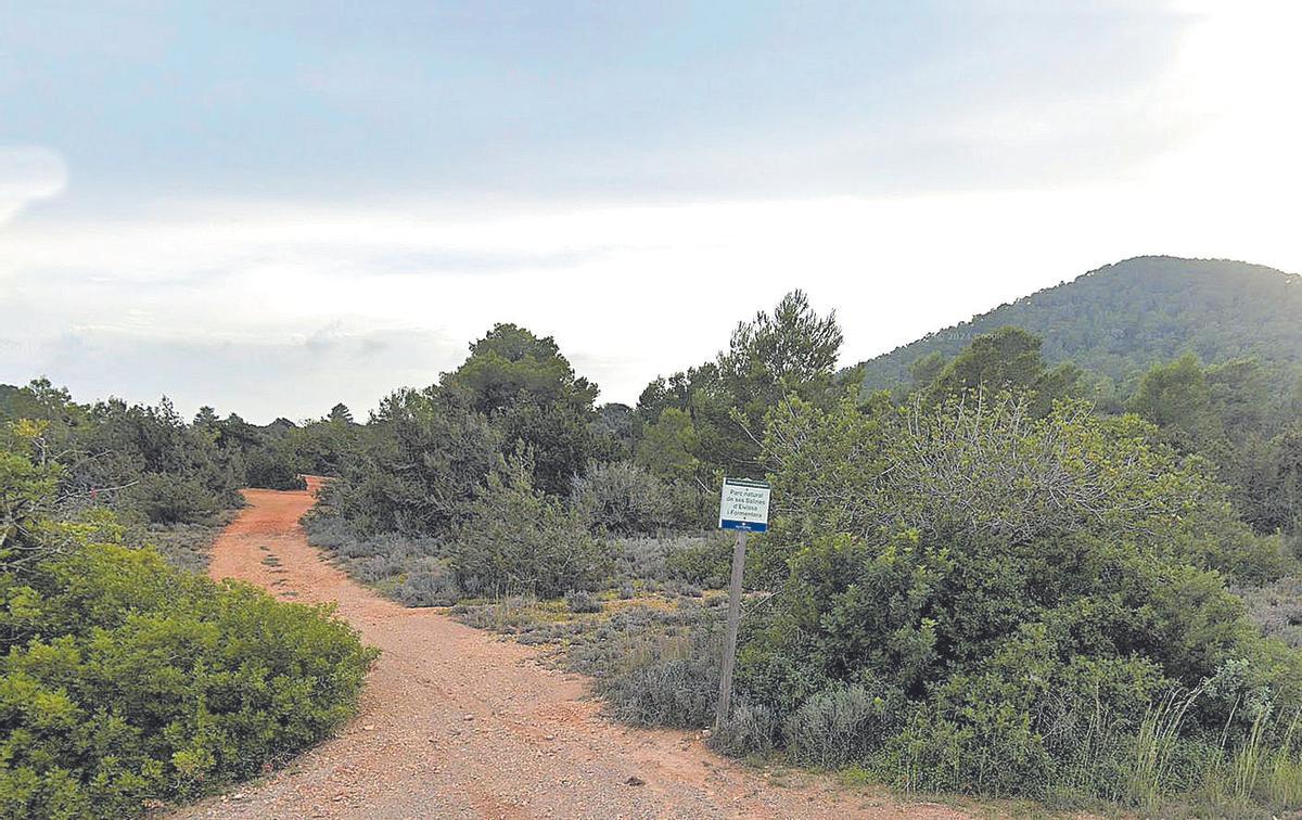 Imagen de uno de los terrenos del Puig Jondal. | DI