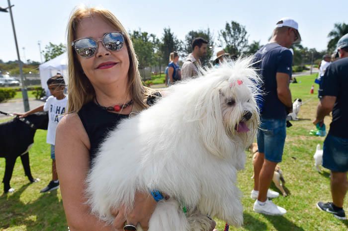 II Feria de mascotas, en Maspalomas