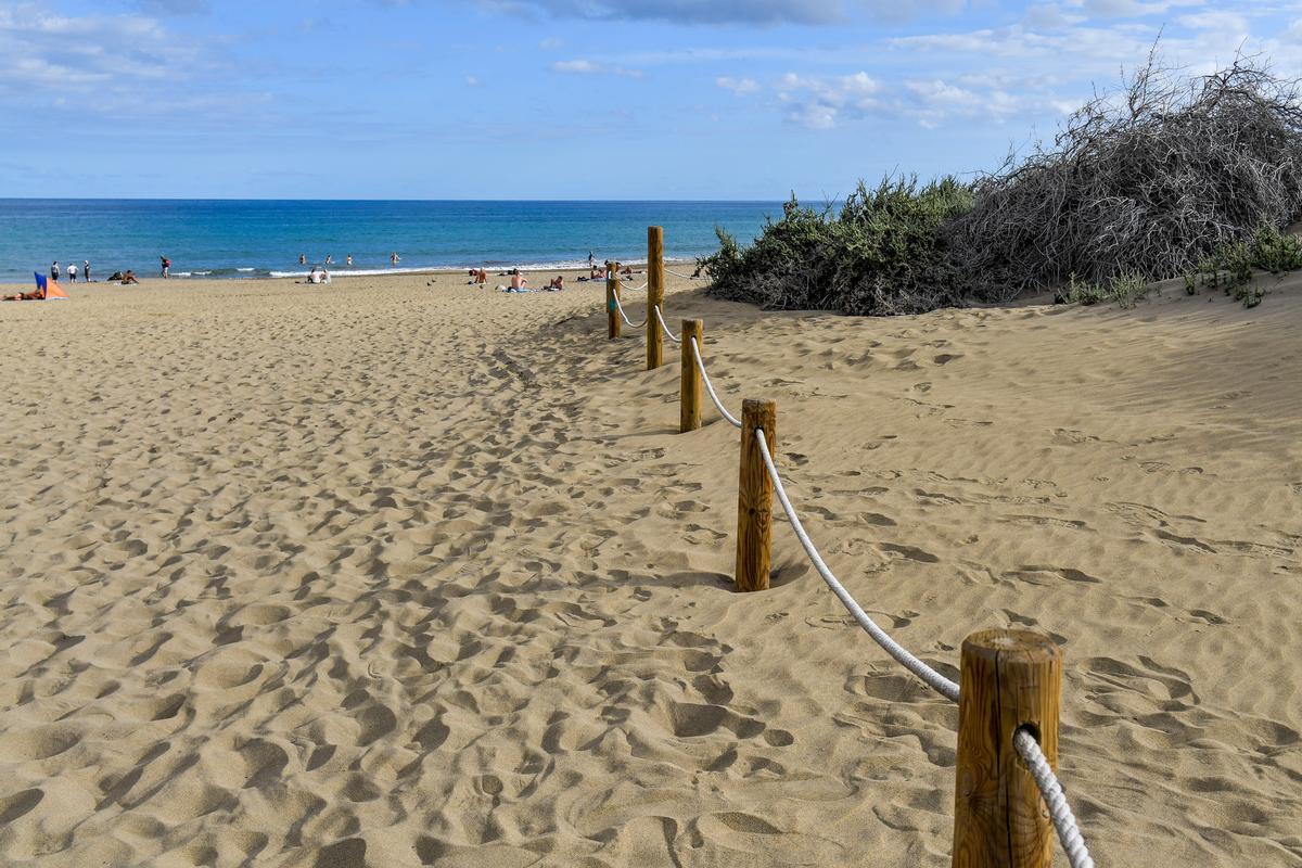 Balancones que permiten formar la primera duna o duna costera, en Playa del Inglés.