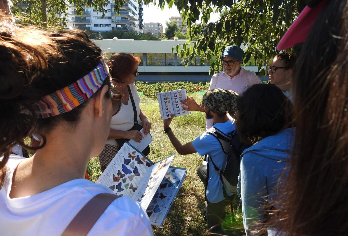 Voluntarios identificando mariposas