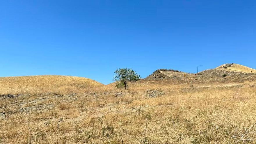 Sequía y resistencia a antibióticos: el riesgo invisible que crece bajo el suelo