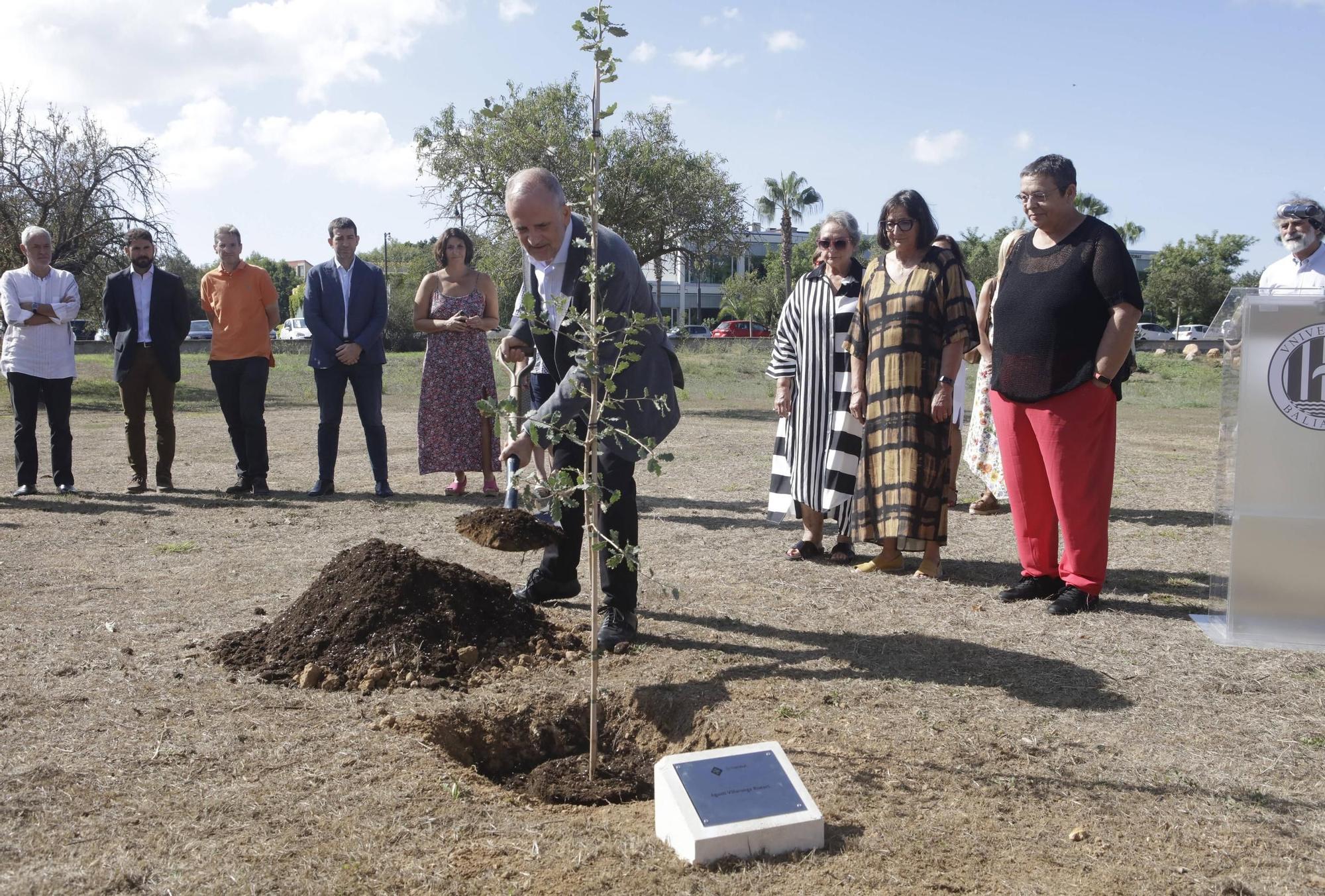 La UIB planta un árbol en memoria de Agustí Villaronga