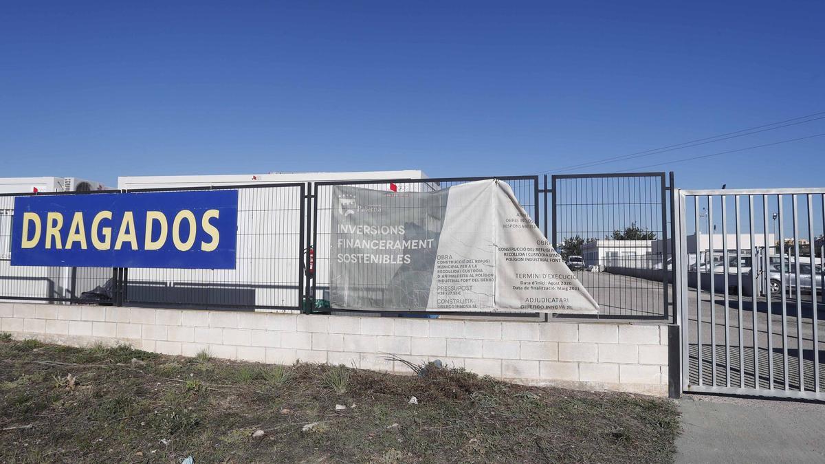 Parcela propiedad de Agustí, junto a la que albergará el refugio de animales