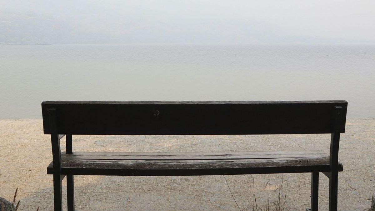 Un banc solitari al costat del llac de Sanabria, a la província de Zamora. | MARIAM A. MONTESINOS / EFE Un banc solitari al costat del llac de Sanabria, a la província de Zamora. | MARIAM A. MONTESINOS / EFE