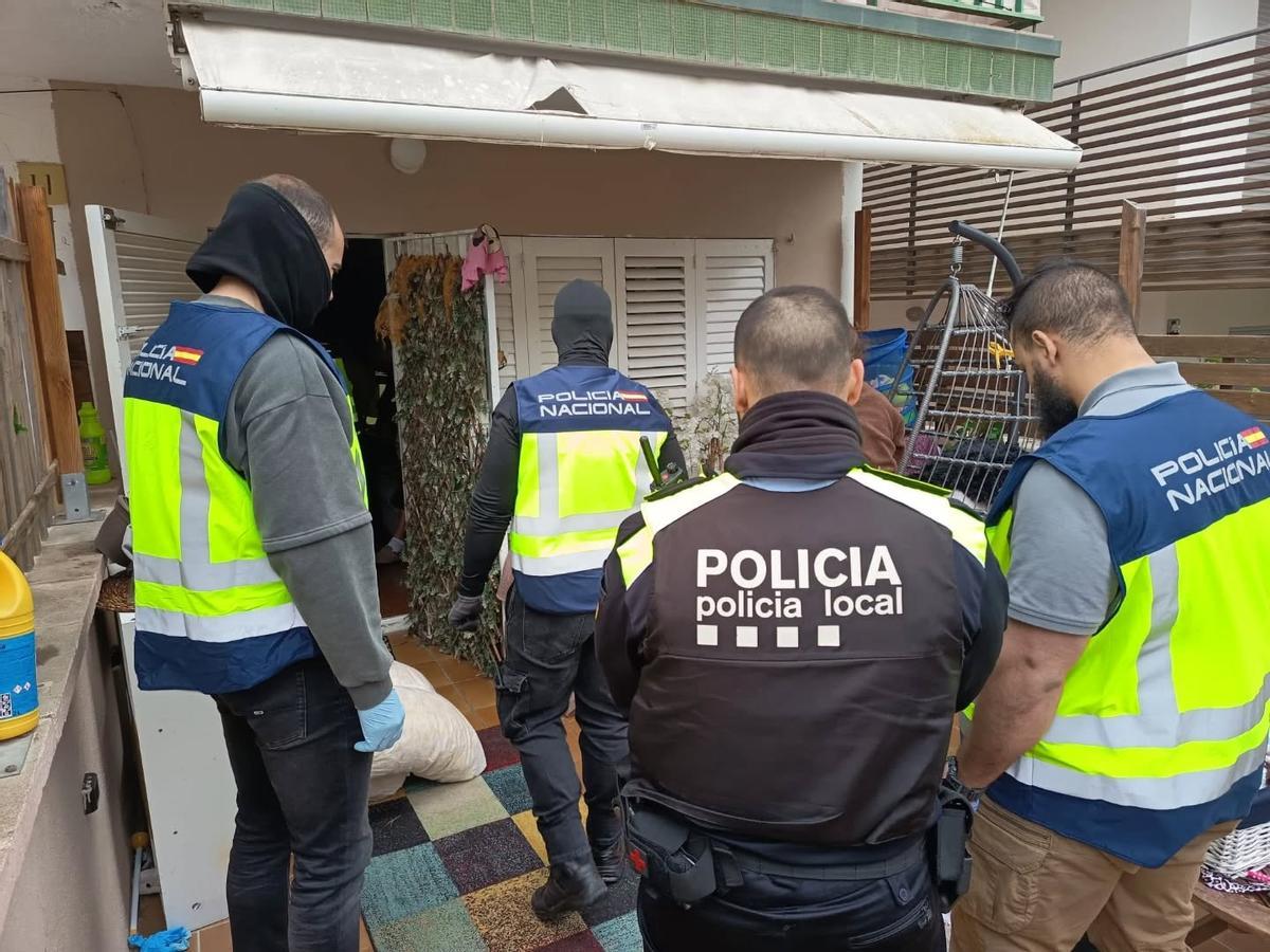 Un moment de l'actuació policial antidroga a Llançà.