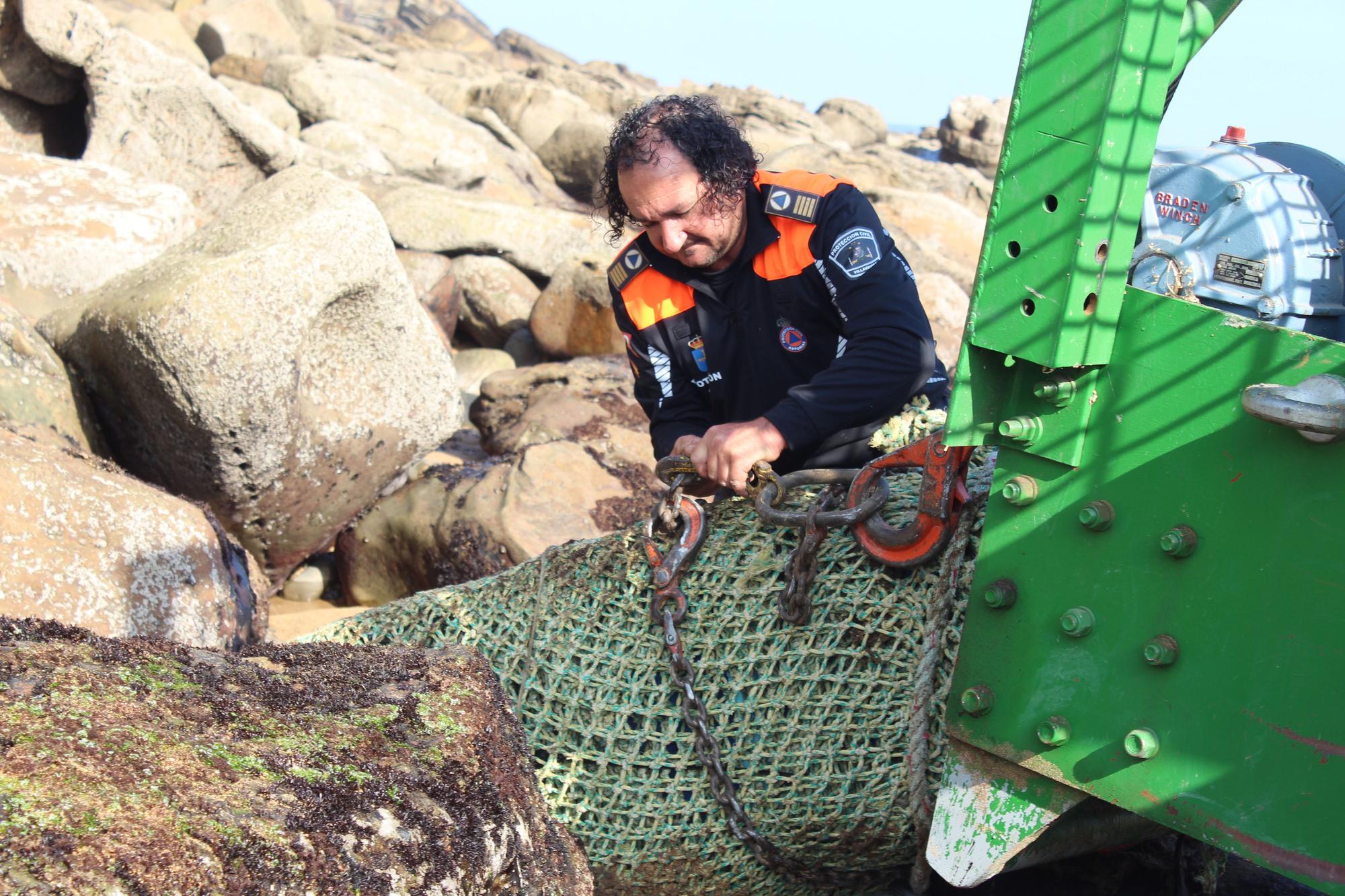 Extraordinario hallazgo en Villaviciosa: recuperan dos bloques con galerías de invertebrados del jurásico