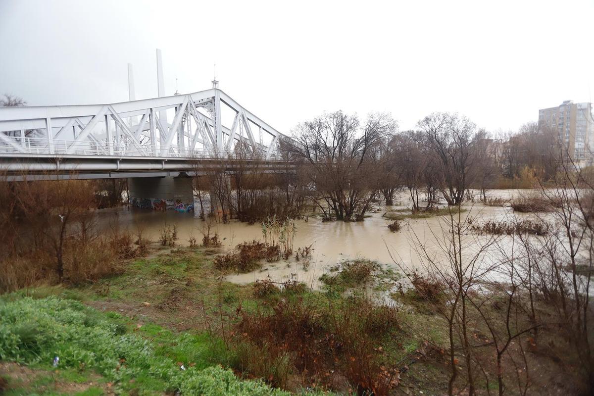 Así luce el río Ebro este viernes 13 de febrero
