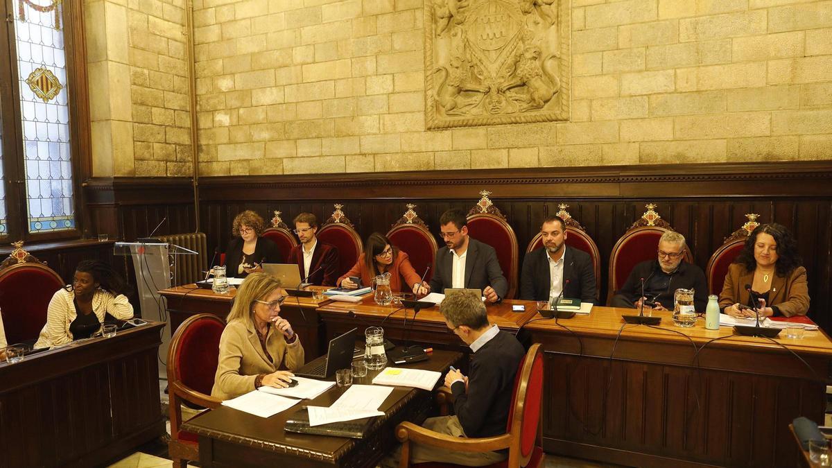 Una imatge del ple municipal de dilluns.