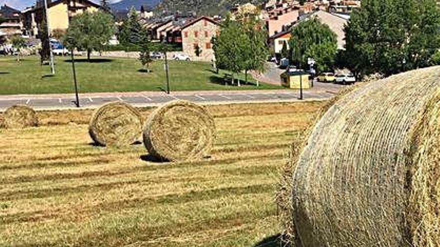 Un prat del nucli de Bellver, declarat zona vulnerable per l&#039;ACA