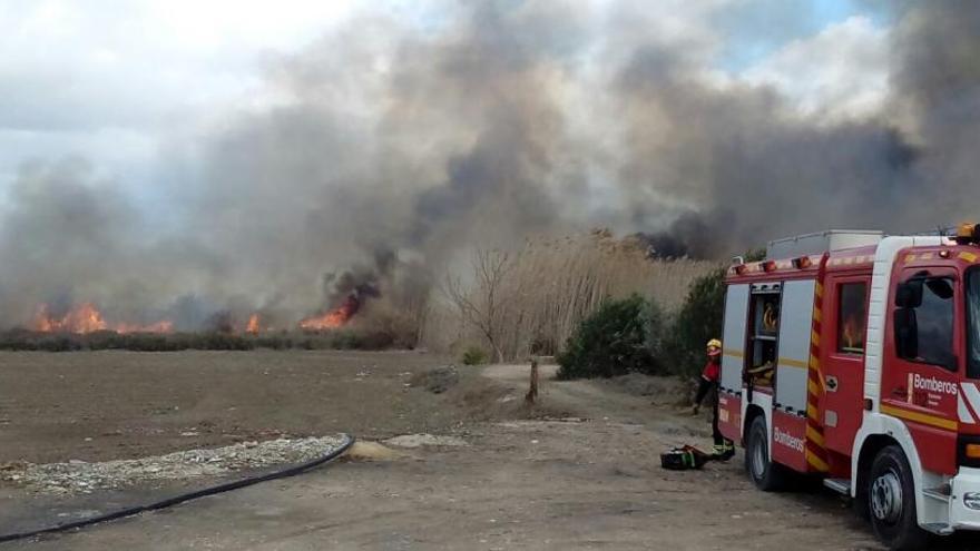 Sofocan un incendio de vegetación en el límite del parque natural de El Hondo