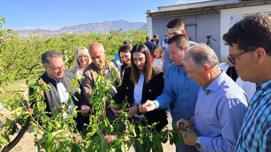 La consejera de Agua y Agricultura, Sara Rubira, visitó ayer las explotaciones agrarias afectadas por el granizo en la pedanía muleña de Yéchar.