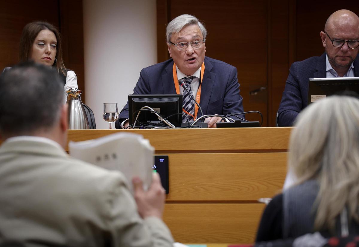 Juan José Enríquez, presidente del Colegio de Economistas de Valencia, en la Comisión de Economía de las Cortes Valencianas.