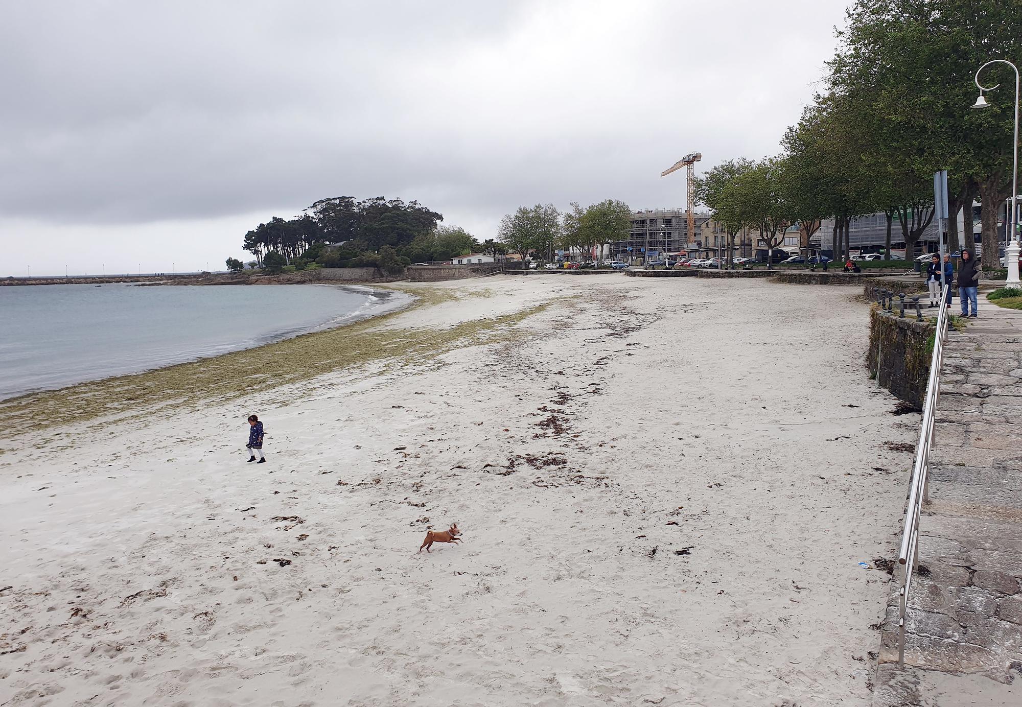 Estado actual de la playa, con el muro a la dcha. y, al fondo, el club de remo.