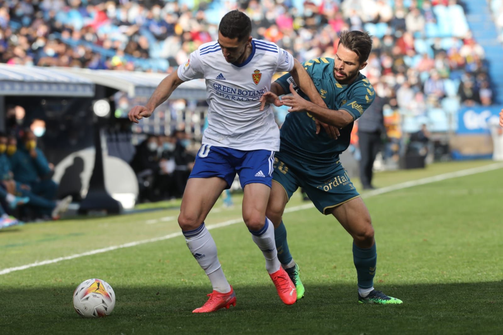 FOTOGALERÍA | Búscate en La Romareda en el Real Zaragoza-Las Palmas