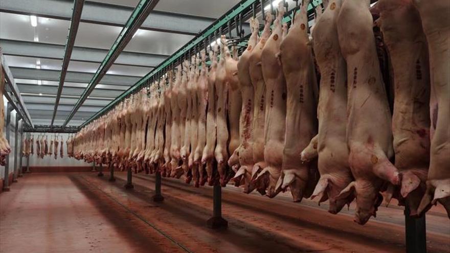 La comunidad bate su récord de exportaciones de porcino