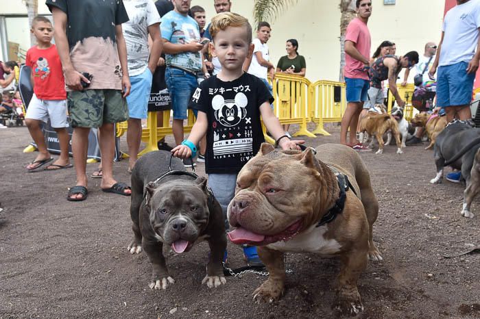 II Feria de mascotas, en Maspalomas