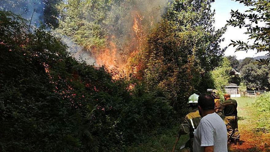 Incendio registrado ayer en Sabaceda.