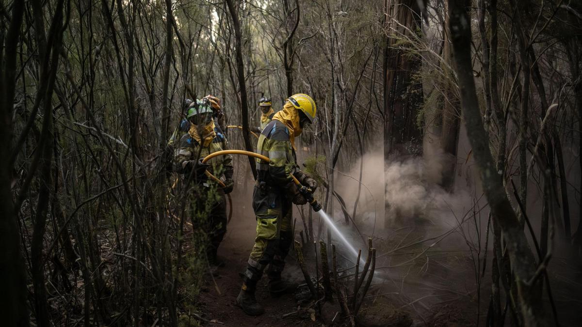 Bomberos en las labores de extinción en el incendio de Tenerife el pasado mes de agosto.