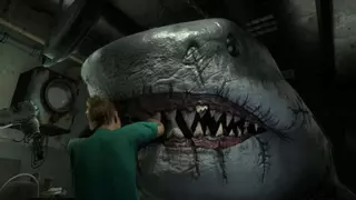 'Shark Dentist': así es el simulador para ordenador más surrealista (y peligroso) del año