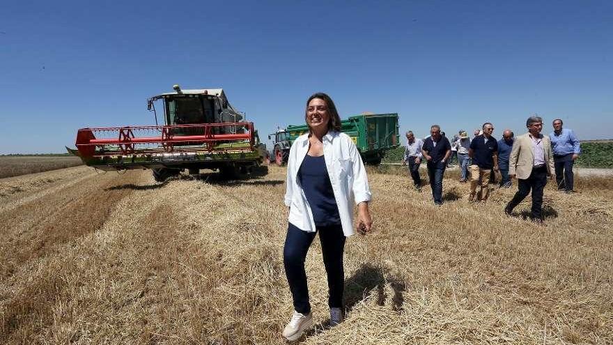 La consejera Milagros Marcos camina por un campo de cereal cosechado en la provincia de Valladolid.