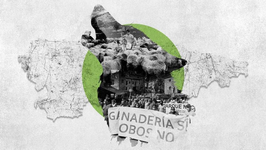 Los ganaderos, contra el informe que niega el aumento de lobos: &quot;Es mentira&quot;