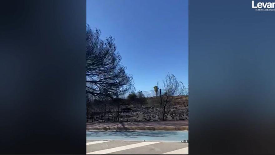 Así ha quedado la zona de Banys de la Reina, en Calp, tras el incendio de anoche