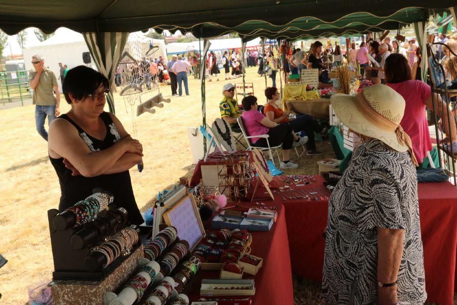 Feria de la Raza Sayaguesa en Bermillo